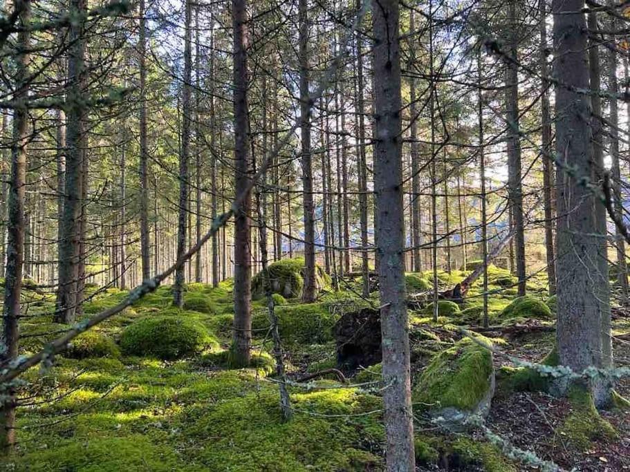 Gaeststuga 100m Fran Sjoen Holiday home